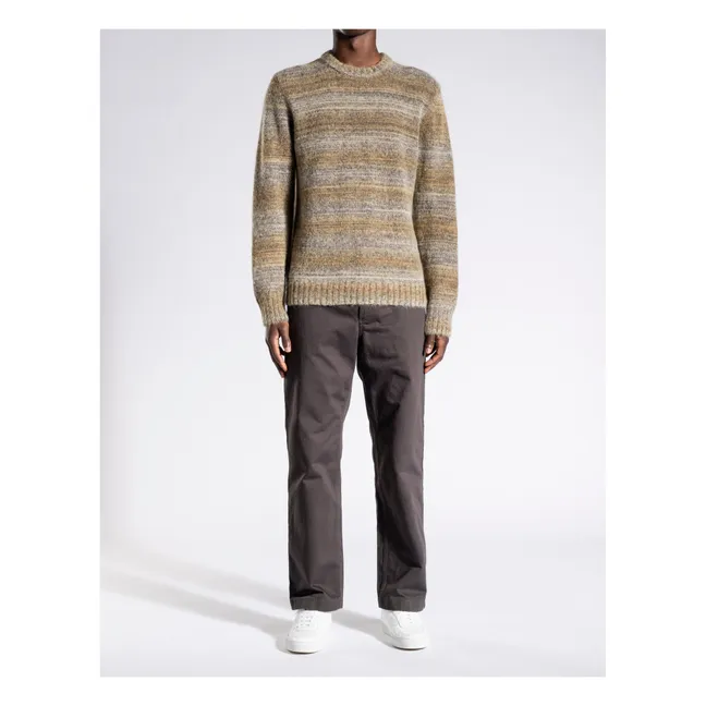 Pull Laine Alpaga Sigfried Space Dye | Camel