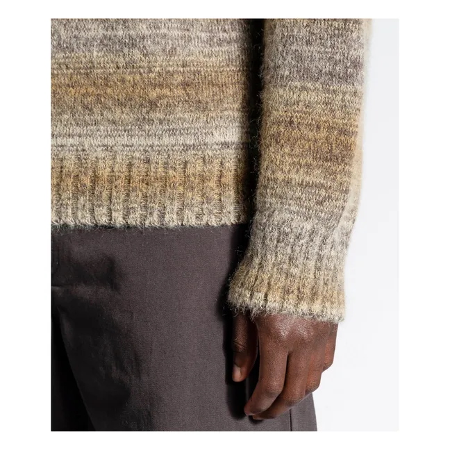 Pull Laine Alpaga Sigfried Space Dye | Camel