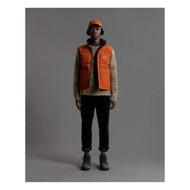 Pull Laine Alpaga Sigfried Space Dye | Camel