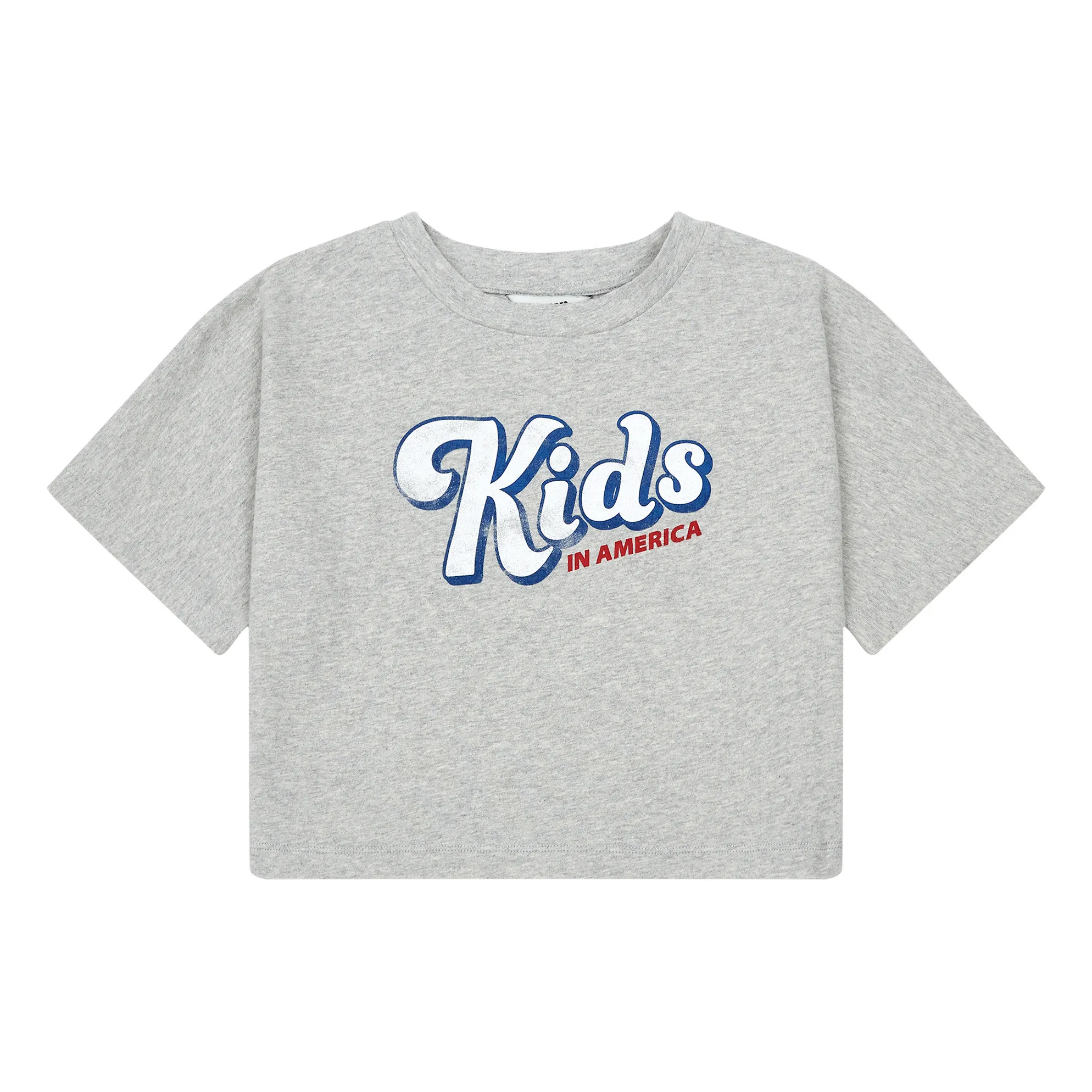 Hundred Pieces Heather Grey Kids In America Organic Cotton T-Shirt