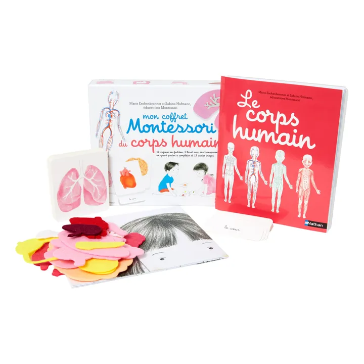 Montessori Human Body Kit- Product image n°0