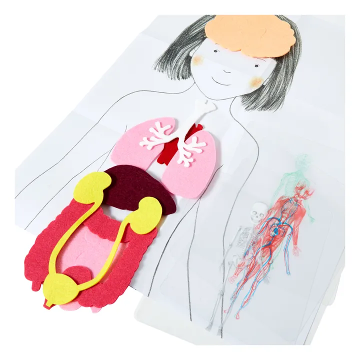 Montessori Human Body Kit- Product image n°1