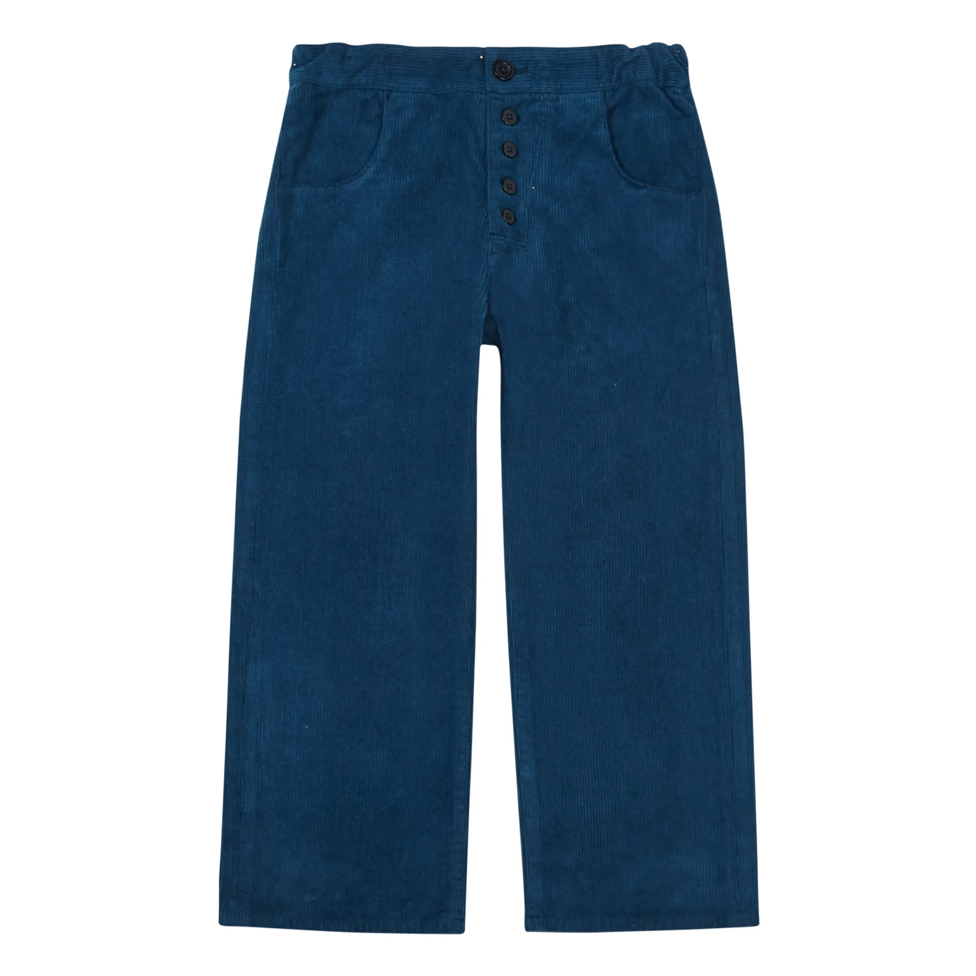 Caramel Navy Blue Erodium Corduroy Pants