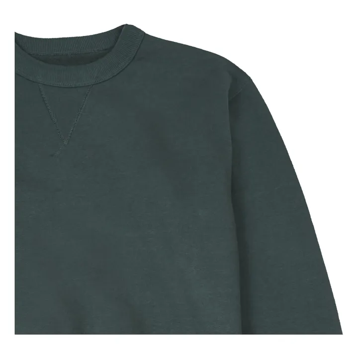 LANIAKEA Sweatshirt | Chrome green- Product image n°1