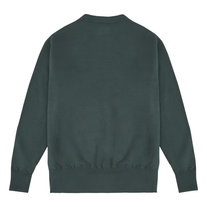 LANIAKEA Sweatshirt | Chrome green- Product image n°2