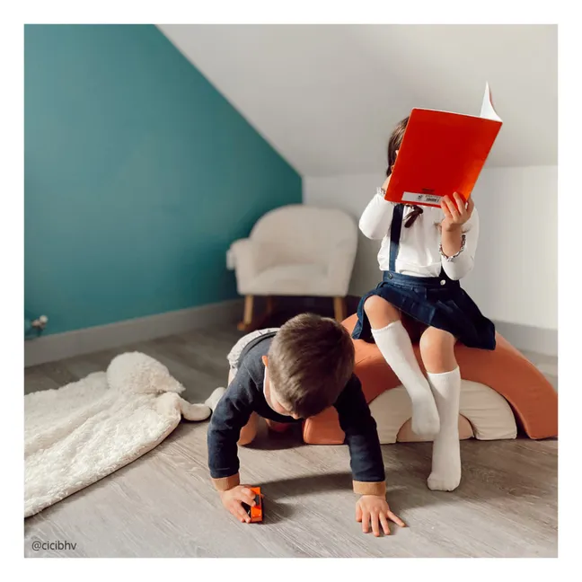 Modulo di motricità Milo Arcobaleno | Palissandro