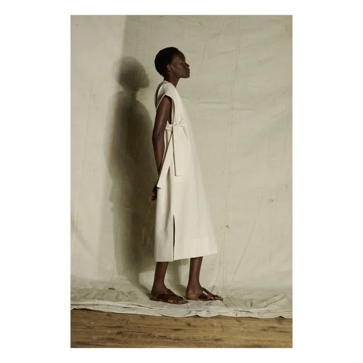 Kleid Ushuaia | Seidenfarben- Produktbild Nr. 4
