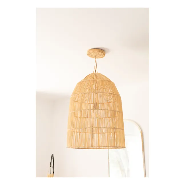 Light Fixture & Palm Leaf Ceiling Canopy