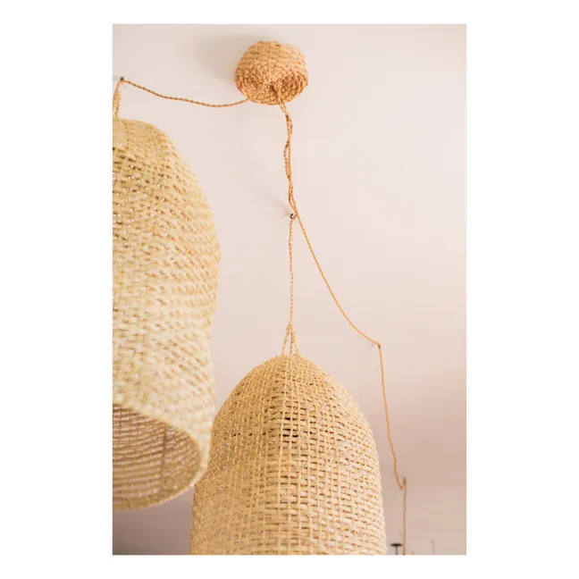 Light Fixture & Palm Leaf Ceiling Canopy