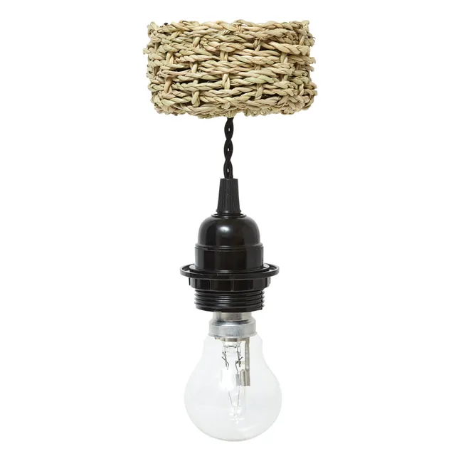 Light Fixture & Palm Leaf Ceiling Canopy
