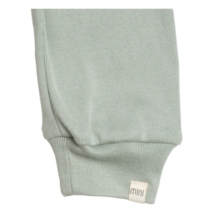 Finland Organic Cotton Sweatpants | Grey-green- Product image n°4
