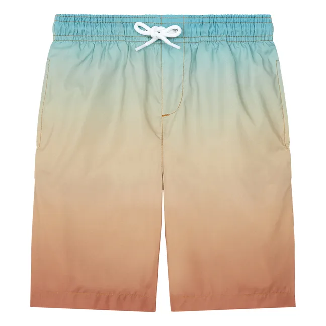 Short De Bain Long Imprimé Gradient | Vert