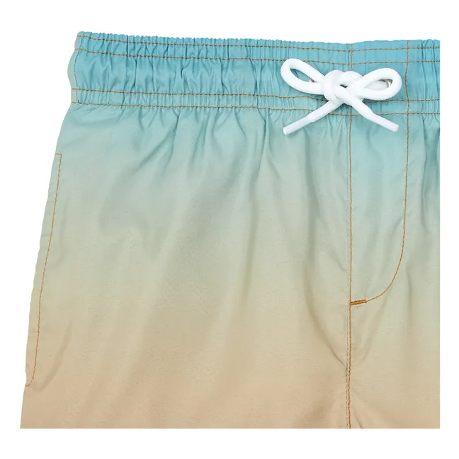Short De Bain Long Imprimé Gradient | Vert