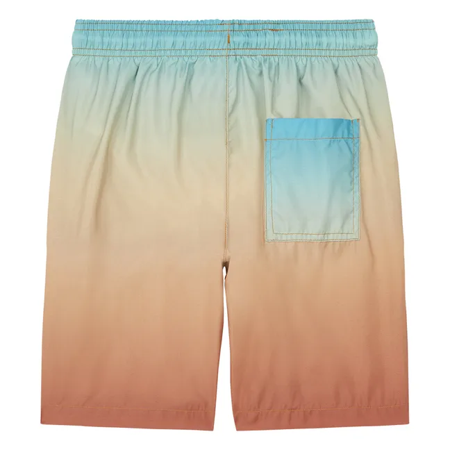 Short De Bain Long Imprimé Gradient | Vert