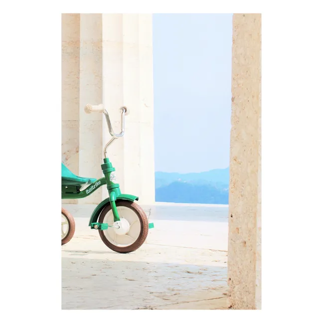 Dreirad mit Transportbehälter und Elternlenker | Grün