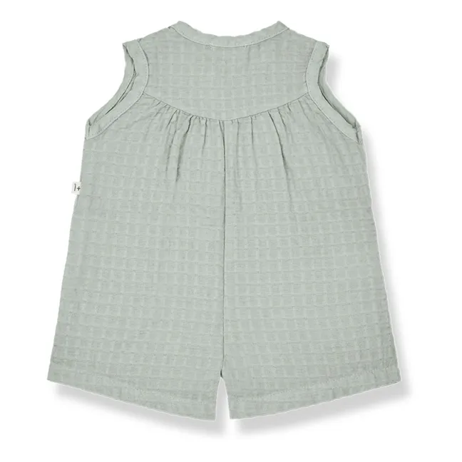 Mono corto Larissa | Verde Pálido