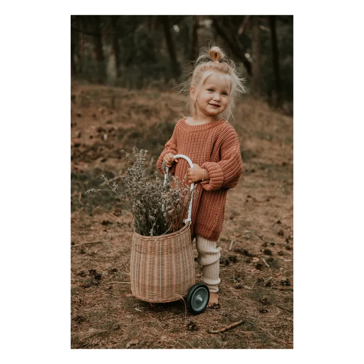 Chunky Organic Cotton Jumper | Terracotta- Product image n°1