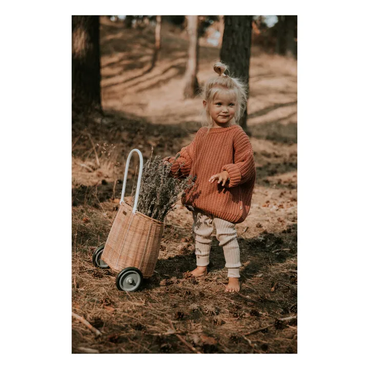 Chunky Organic Cotton Jumper | Terracotta- Product image n°2