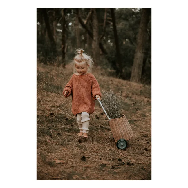Maglione a maglia grossa in cotone biologico | Terracotta