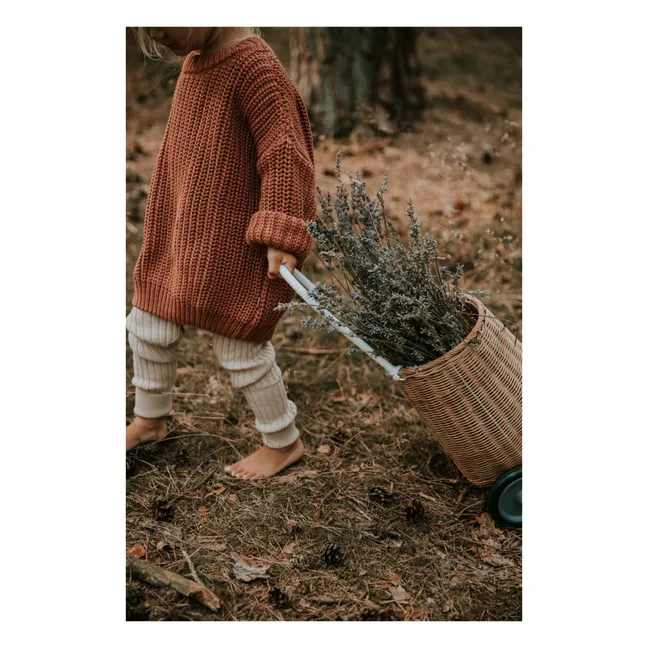 Maglione a maglia grossa in cotone biologico | Terracotta