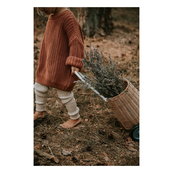 Chunky Organic Cotton Jumper | Terracotta- Product image n°4