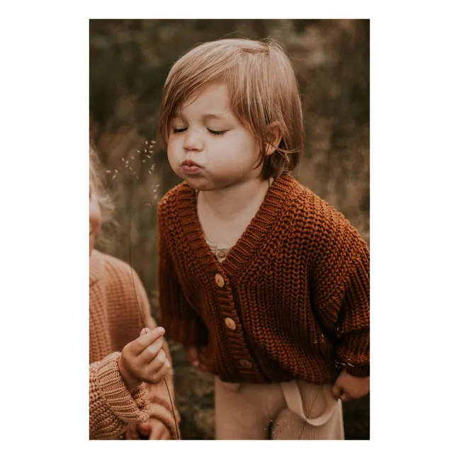 Cardigan in cotone organico a maglia grossa | Marrone