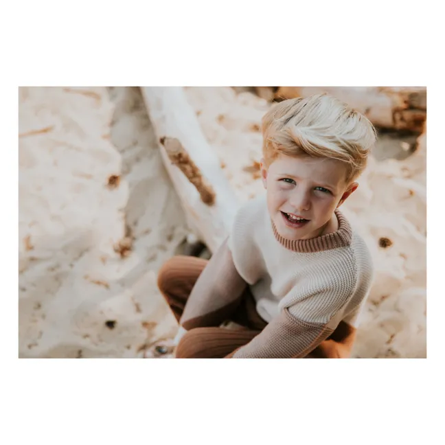 Chunky Organic Cotton Colour Block Jumper | Brown