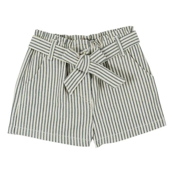 Belted Shorts with Stripes | Green- Product image n°0