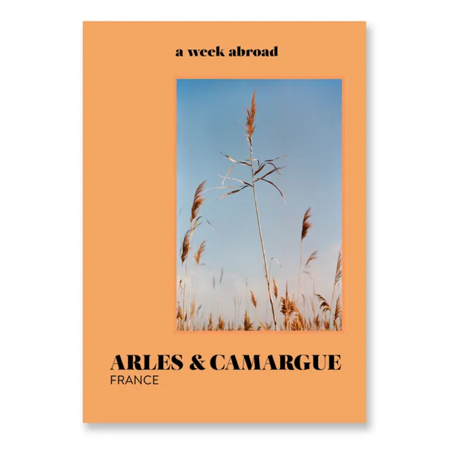 Libro di viaggio - Arles & Camargue | Arancione