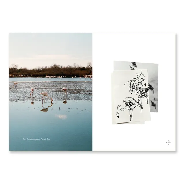 Travel book - Arles & Camargue | Orange