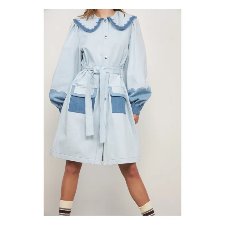 Selene Dress - Rose on Blue main image 0