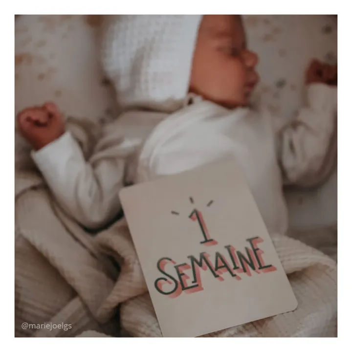Carte segna tappe- Immagine del prodotto n°1