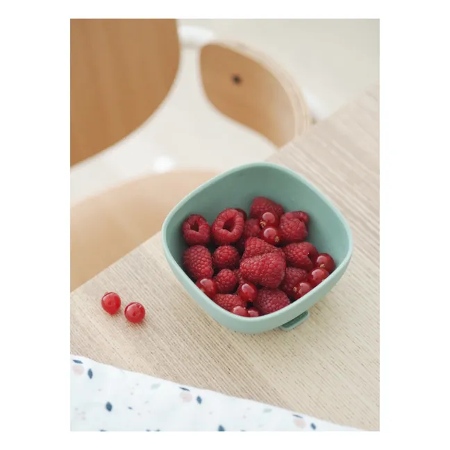 Silicone Bowl | Sage