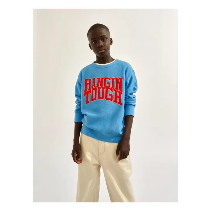 Sweatshirt Fago | Hellblau- Produktbild Nr. 3