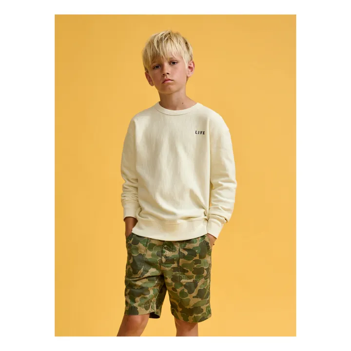 Sweatshirt Fago | Seidenfarben- Produktbild Nr. 1