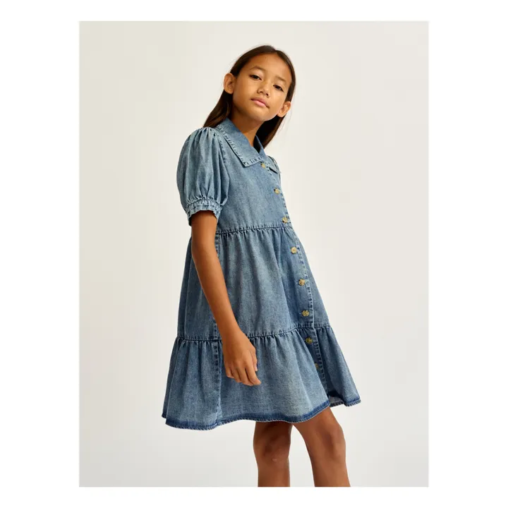 Acacia Dress | Denim- Product image n°3