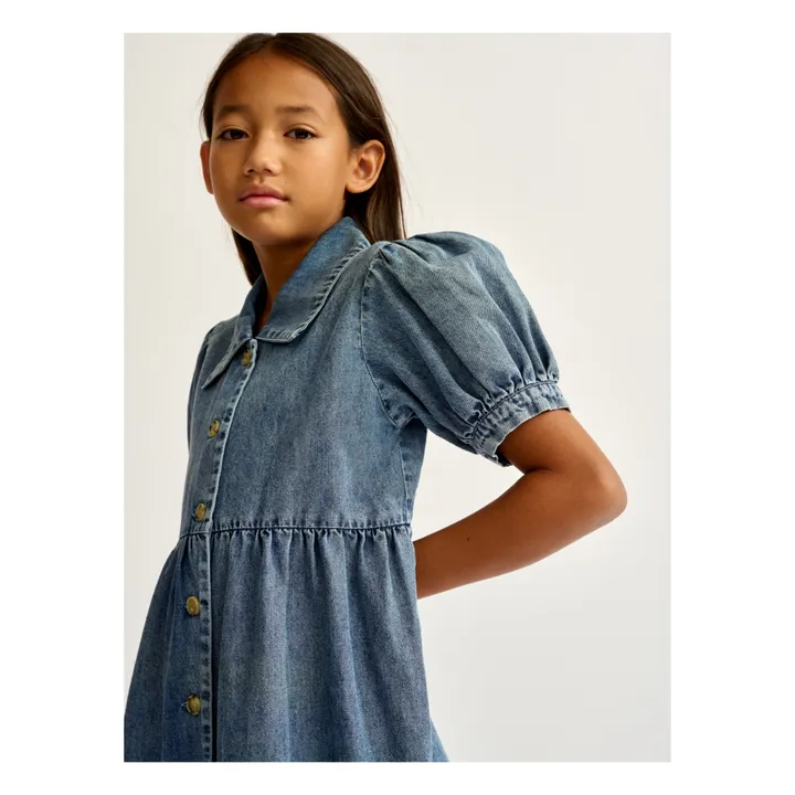 Acacia Dress | Denim- Product image n°4