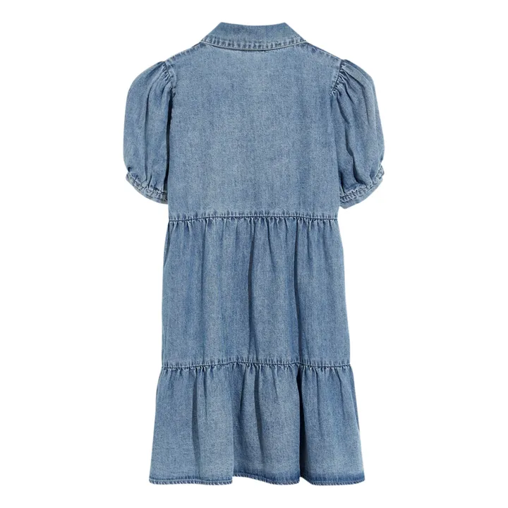 Acacia Dress | Denim- Product image n°8