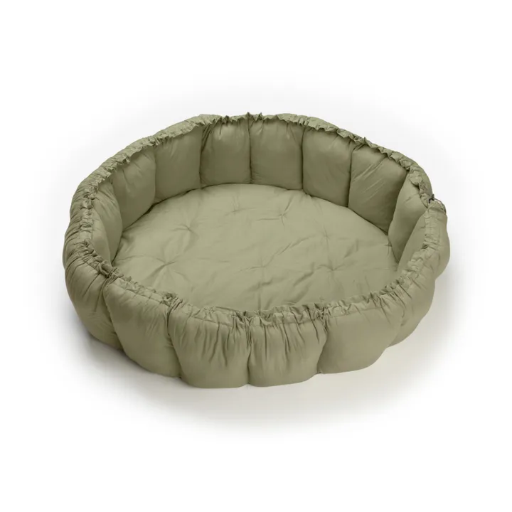 Play & Go - Play and Go - Tapis d'éveil Coco