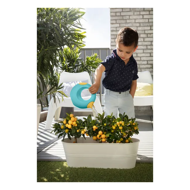 Regadera Cana 0,5L | Azul