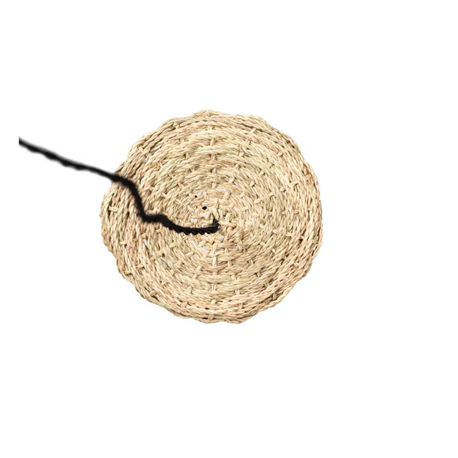Electrical System & Rope Ceiling Rose