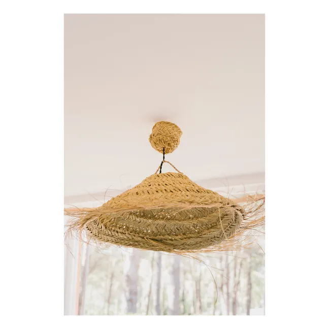 Electrical System, Smart Rosette