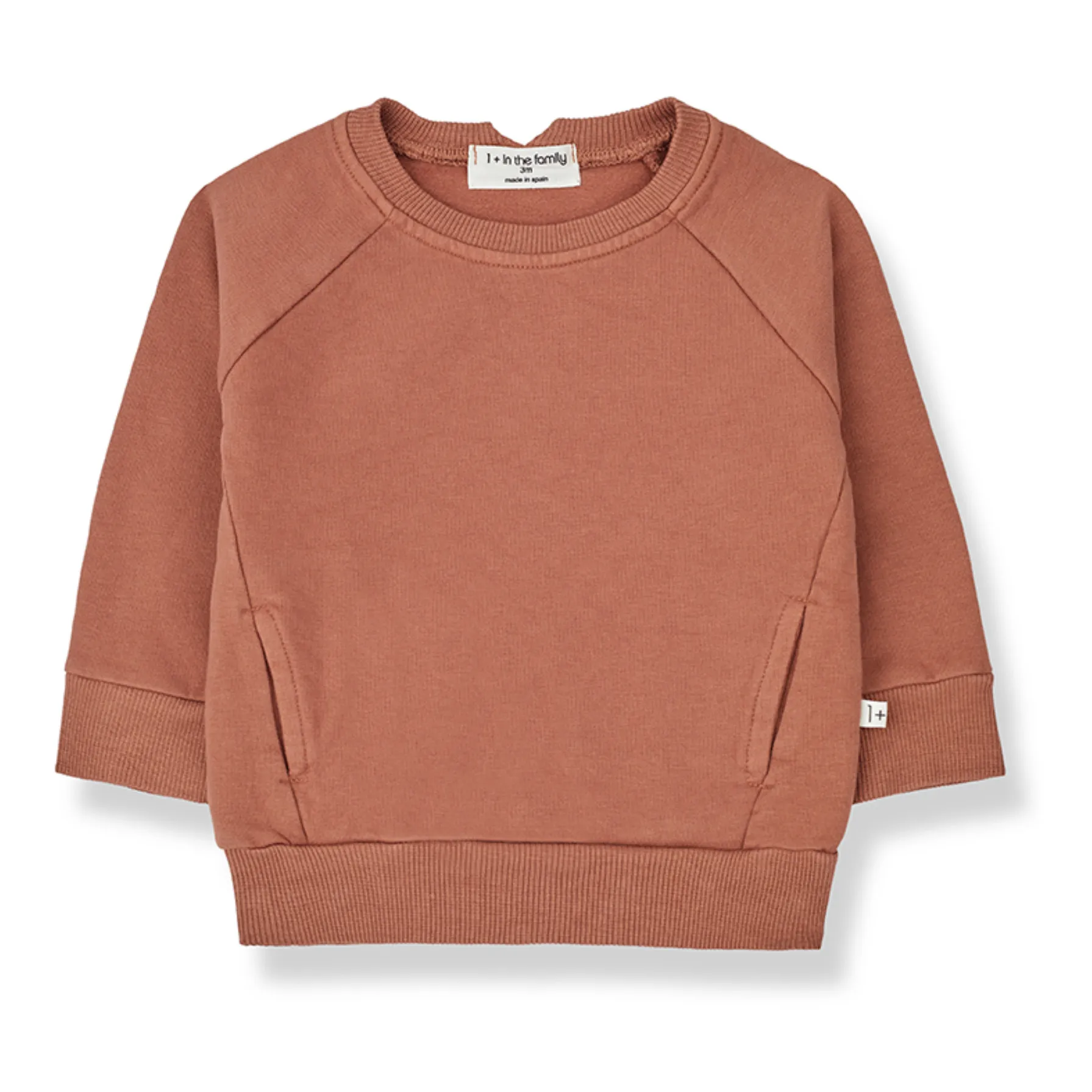 1+ In The Family Terracotta Fitz Sweatshirt