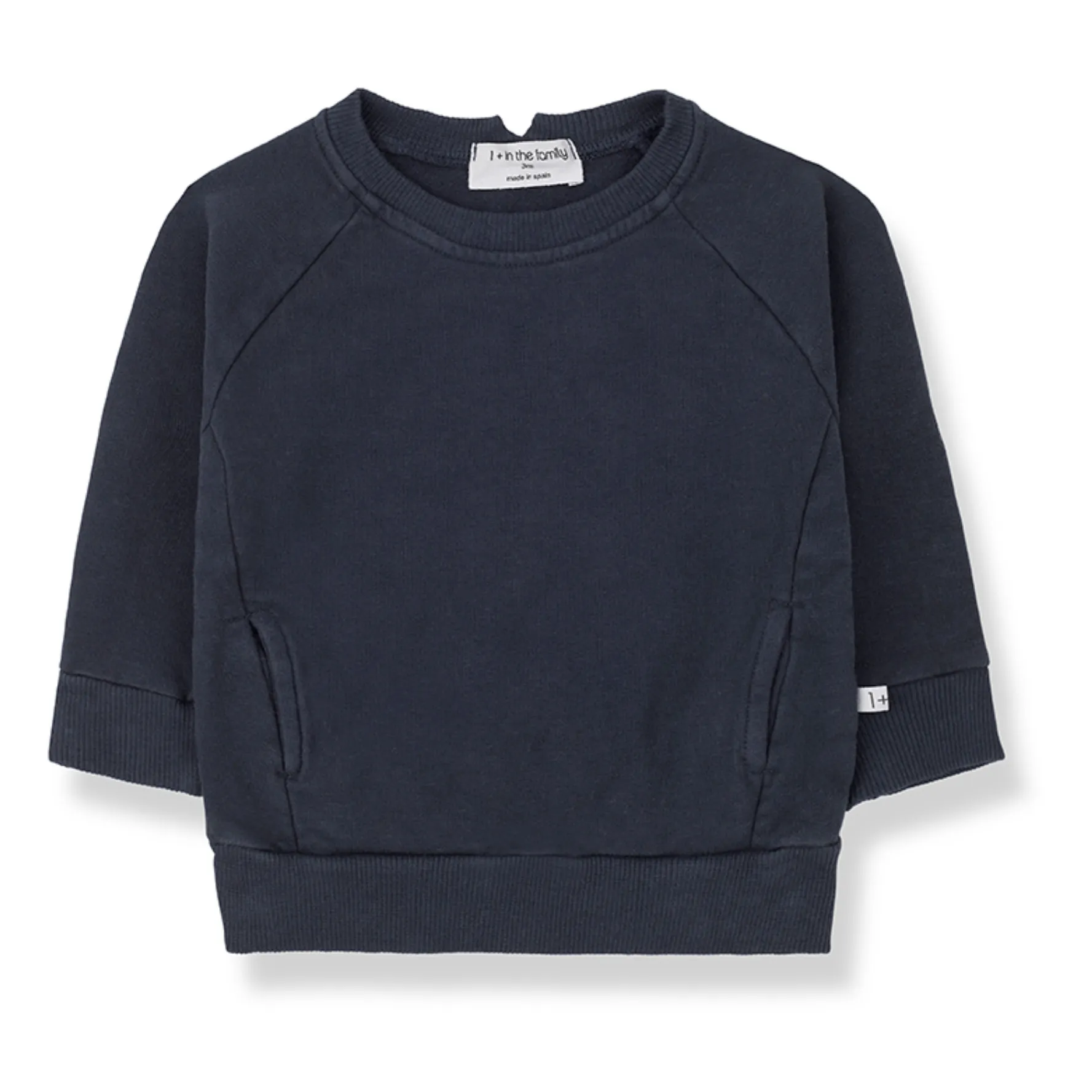 1+ In The Family Navy Blue Fitz Sweatshirt