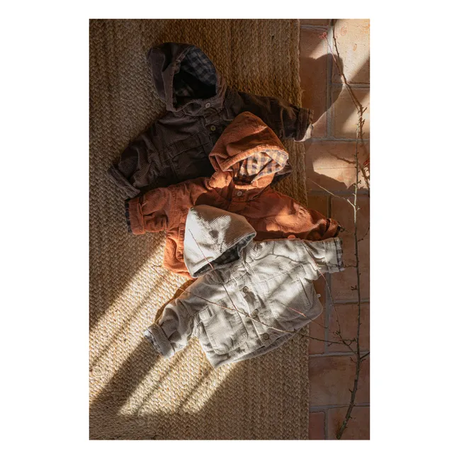 Chaqueta de pana con capucha Kurt | Terracotta