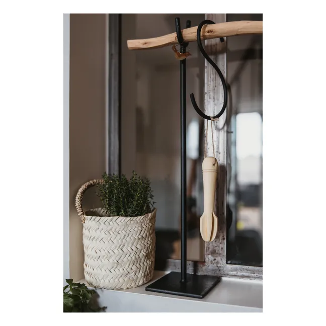 Presse-agrume en citronnier