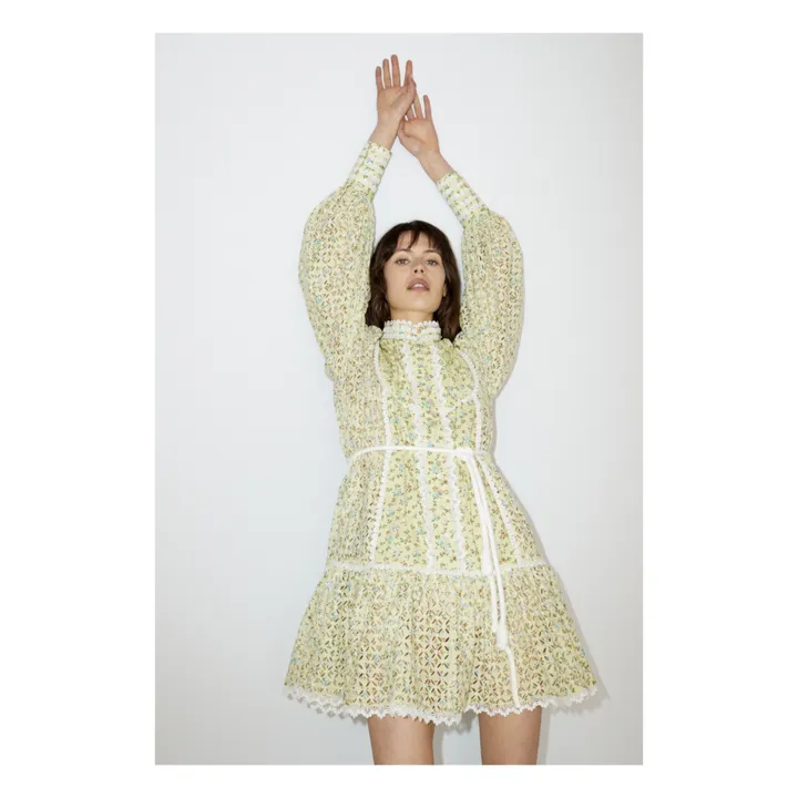 green emerald velvet dress Alemais Women's Maeve Embroidered Mini Dress main image 1