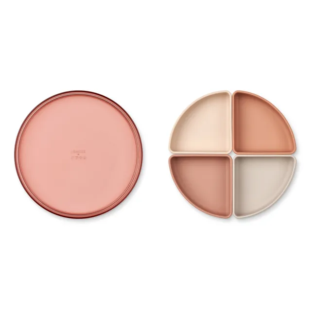 Shawn Partition Plate | Pale pink