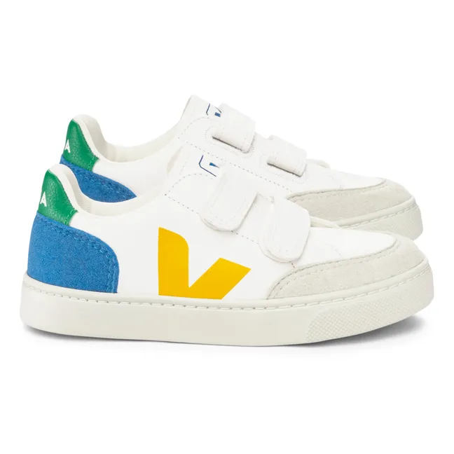 Baskets Scratchs V-12 | Bleu