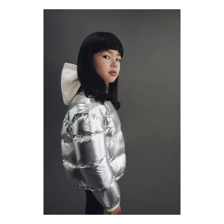 Meuse Padded Jacket | Silver- Product image n°1